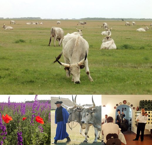 ホルトバージ国立公園