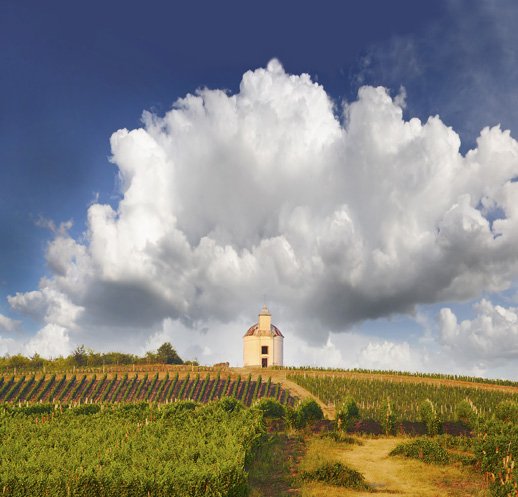 トカイ（トカイワイン）